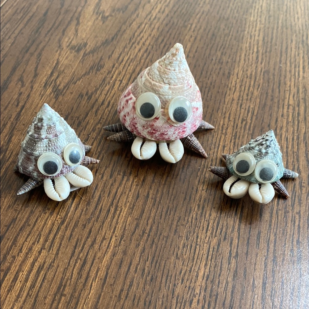 “5/$20” Cute Seashell Hermit Crab Figurines